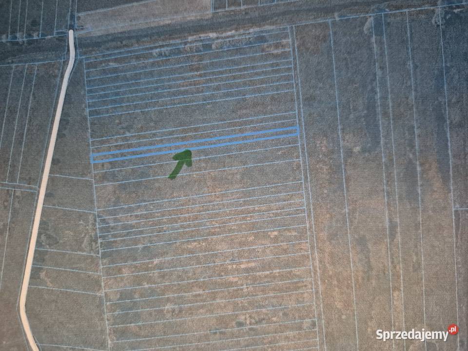Syndyk sprzeda nieruchomość gruntową Karszew 2 wielkopolskie