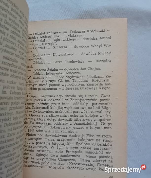 Żółty Tygrys Wojciech Sulewski Dymy wielkopolskie