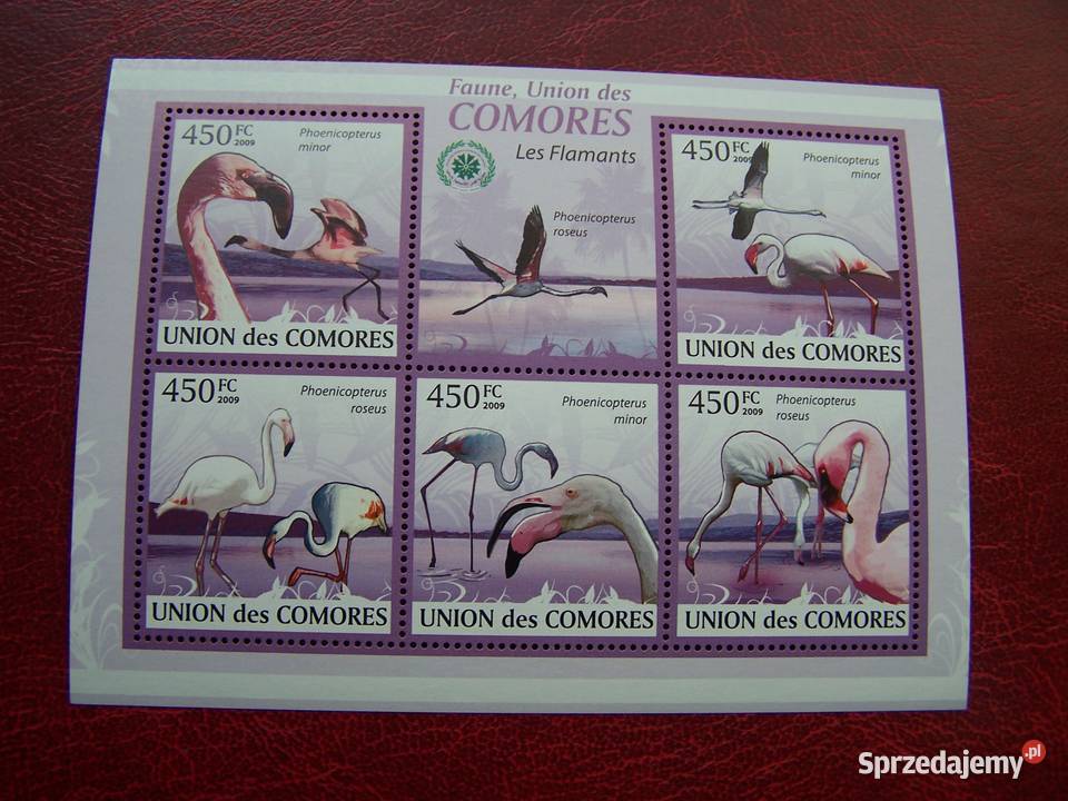 Komory 2009 MNH Fauna Ptaki Flamingi Filatelistyka Tychy