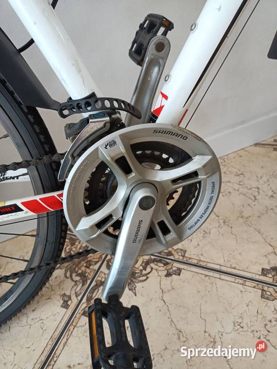 Rower WHEELER cross 62 Czerwin