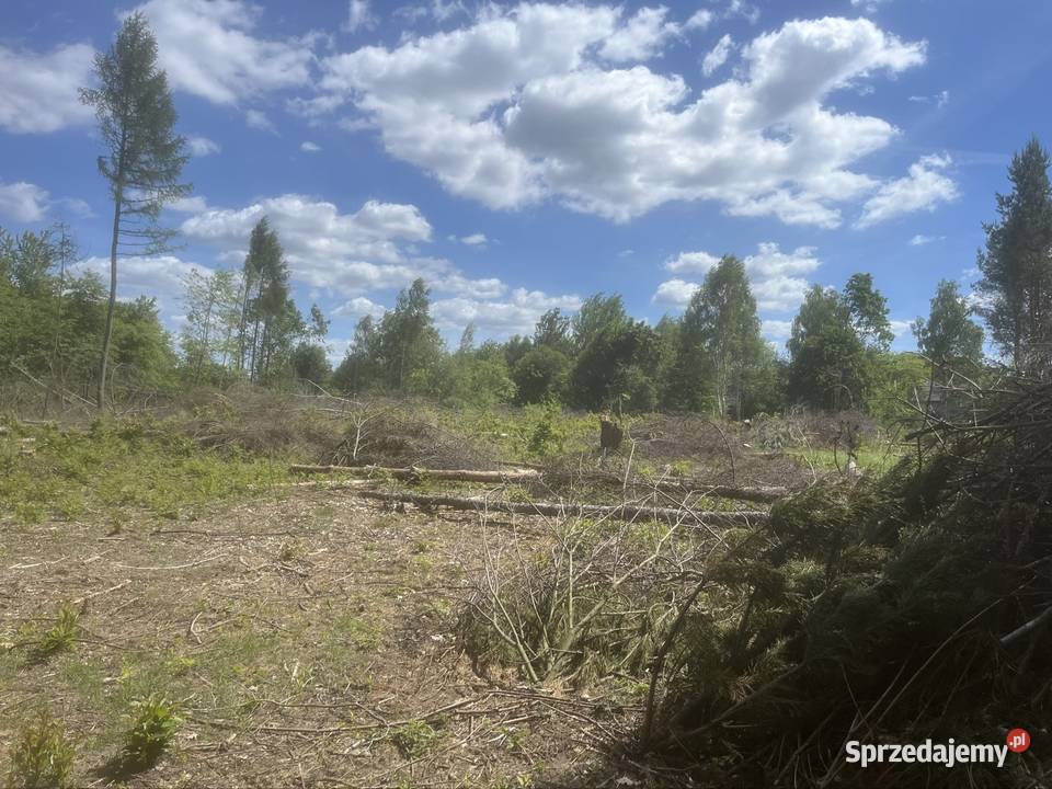 Działka rolna 3ha w Gozdnicy rolna lubuskie Gozdnica