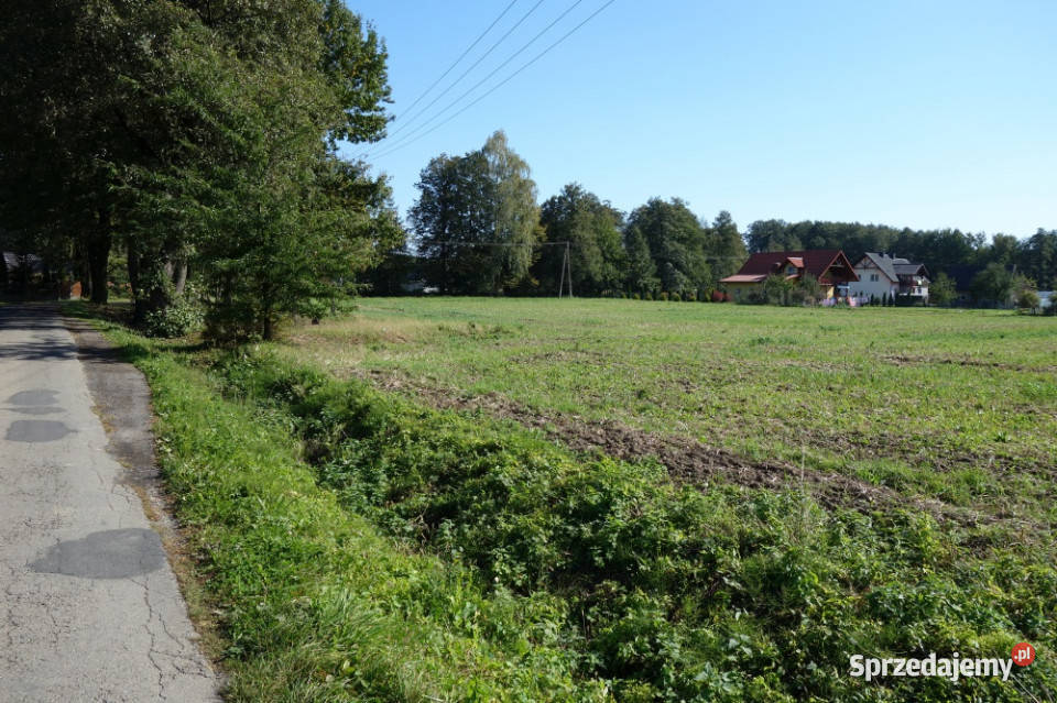 Skoczów Ochaby 157ha z częścią budowlaną 55ar i śląskie