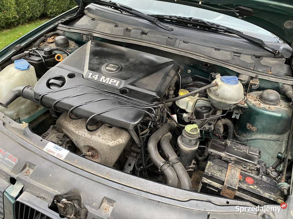 Seat Ibiza 14 MPi 2/3 Końskie