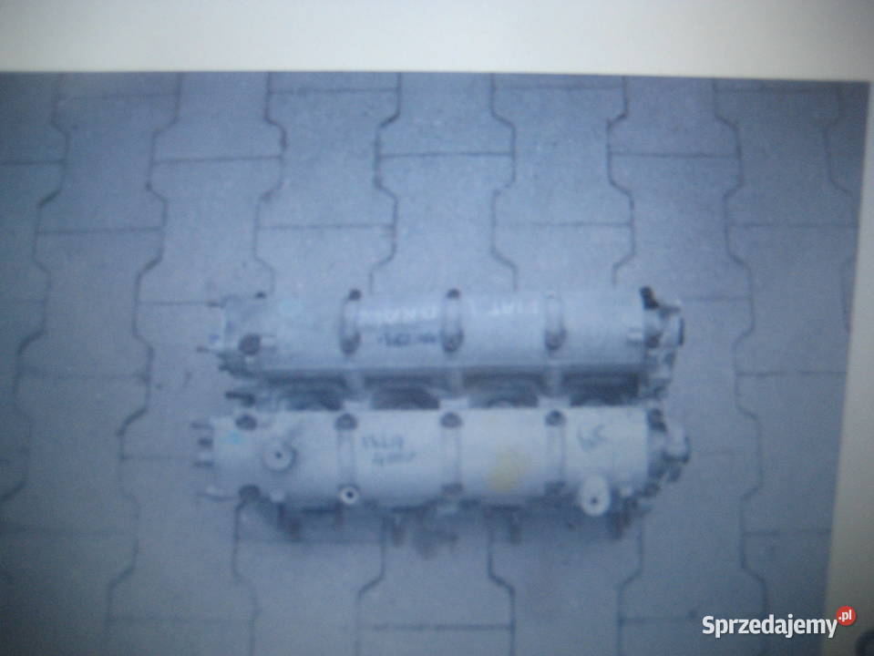 fiat bravo brava marea paulio multipla 16 wielkopolskie Rakoniewice