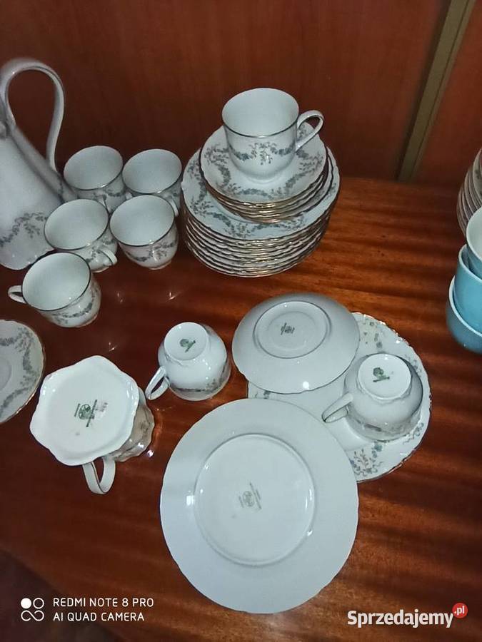 Mlecznik Hutschenrouther pomorskie Gdańsk