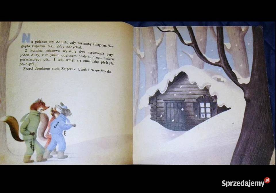 Miś na lodzie Borys Łaskin Chełm