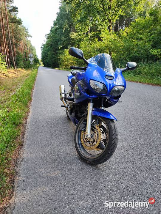 Suzuki SV 650 Końskie