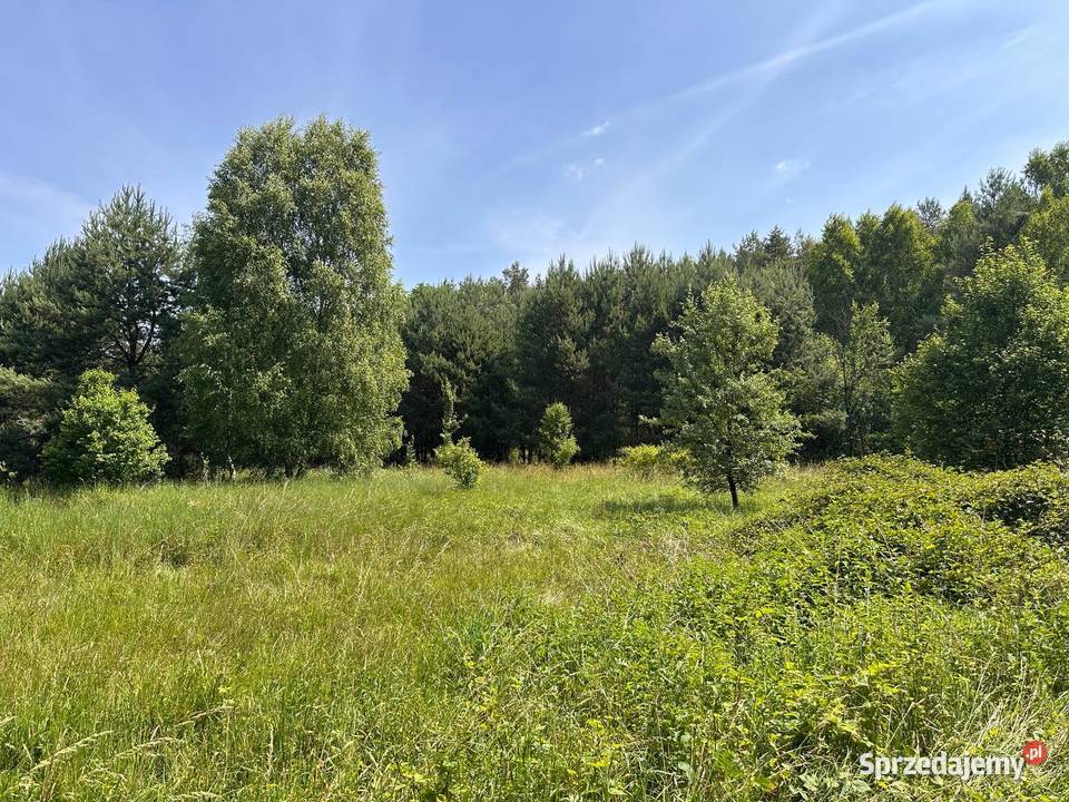 działka w otulinie lasu Trzebule sprzedam