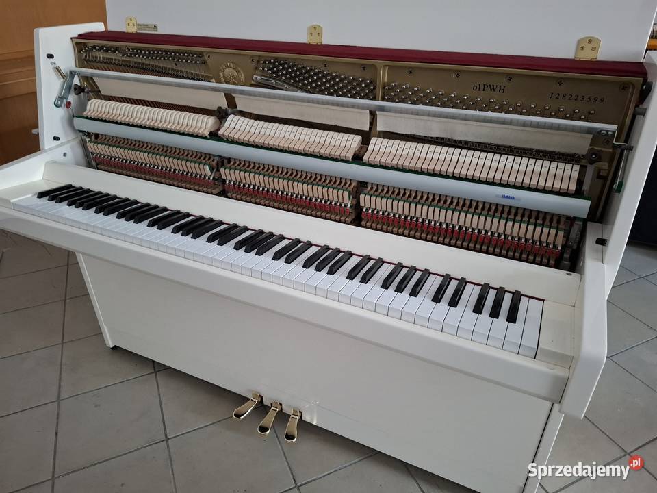 Pianino Yamaha B1 PWH stan fabryczny Gwarancja Yamaha Brzesko