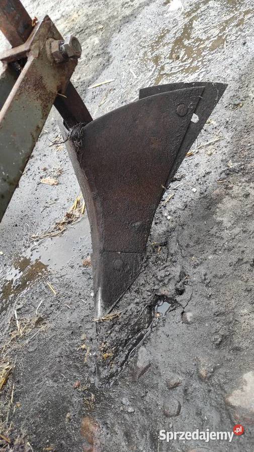 Sadzarka do ziemniaków nieuszkodzony Groszki