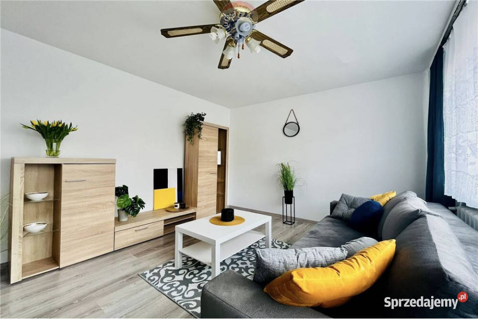 Komfortowe 3 pokoje do wynajęcia Liczba pokoi 3 Zielona Góra sprzedam