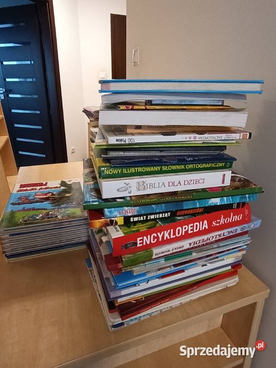 Meble chłopca dziecięcomłodzieżowe mazowieckie Warszawa