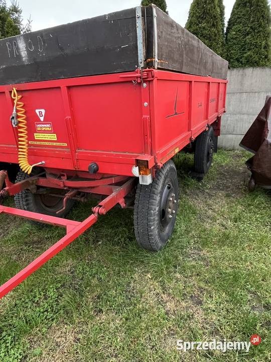 Przyczepa Sanok d 44 sztywna sprzedam