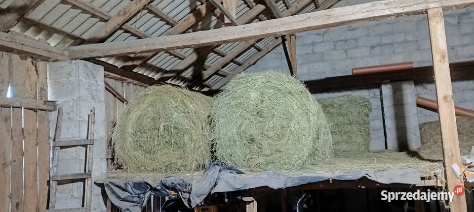Sprzedam słomę i siano tegoroczne Parczew