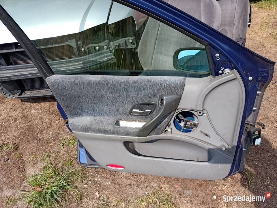 drzwi lewe przód przednie Renault laguna II 2 Szczecin