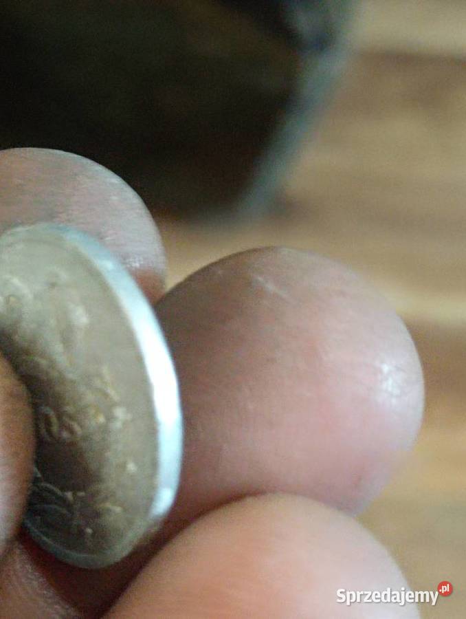 Sprzedam monete 20 gr 1970r zzm Chełm