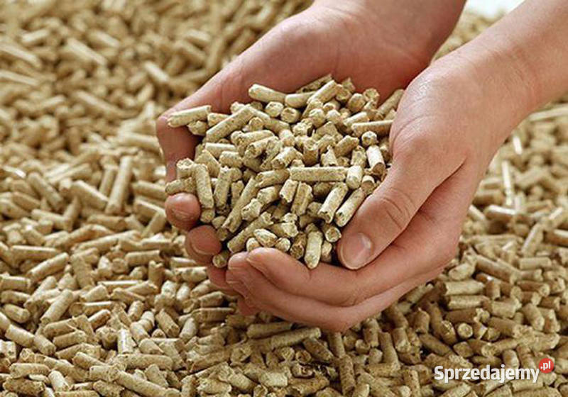 pellet sosnbuk Rymanów Grabiny