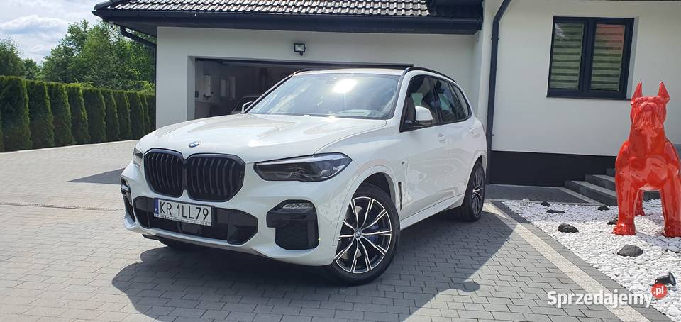 BMW X5 xDrive25d sport 2019 Diesel 4x4 Kalwaria Zebrzydowska
