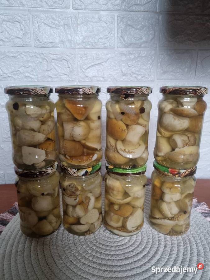 Grzyby Borowik maślak podgrzybek Brzozów