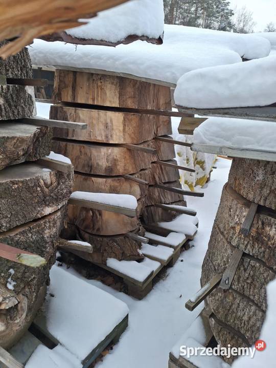 Drewno Foszty Plastry pod żywicę Dzikowiec