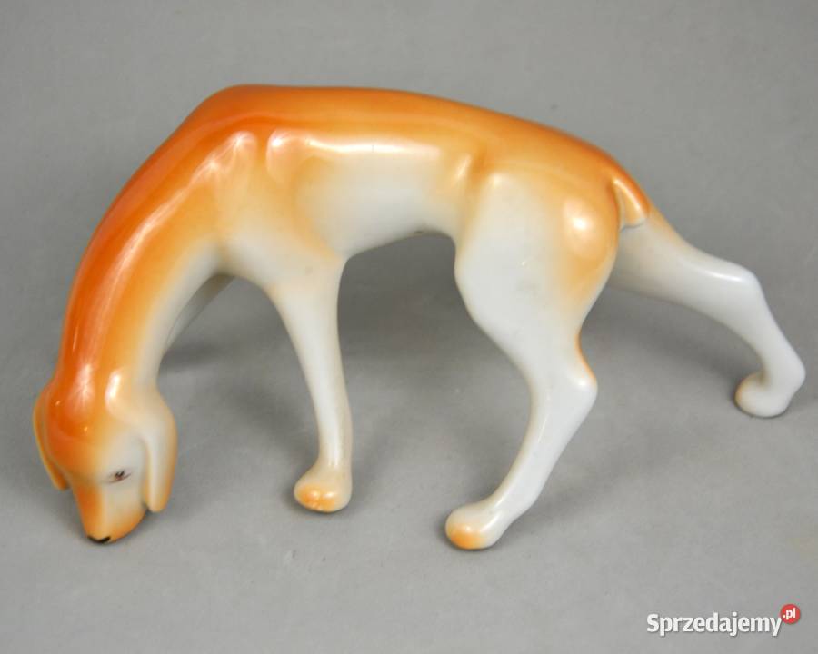wyżeł węgierski krótkowłosy Aurl Kldor Hollohaza Porcelana i szkło Bronisze