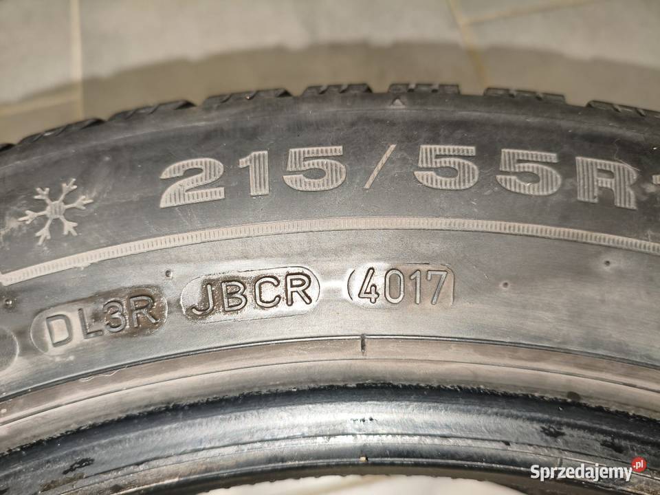 Dunlop Winter Sport 5 2155517 Rudnik