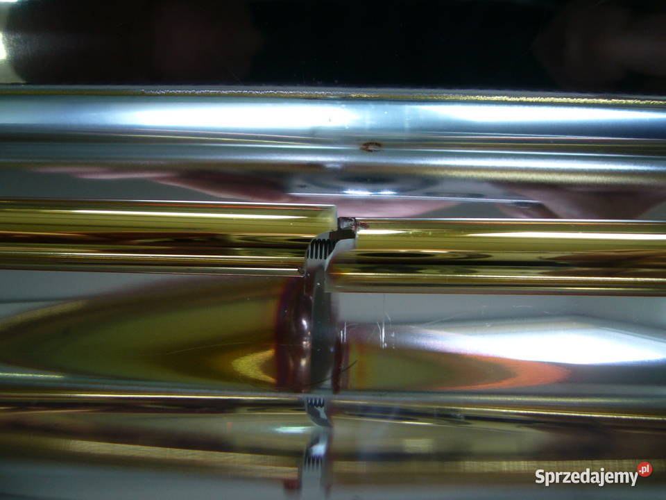 Promiennik krótkofalowy TERM2000 Pozostałe Warszawa