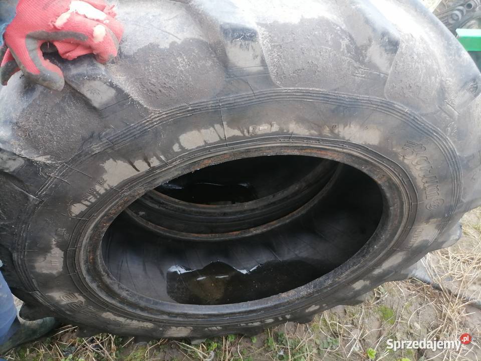 Opony 124 24 Orłów-Parcel