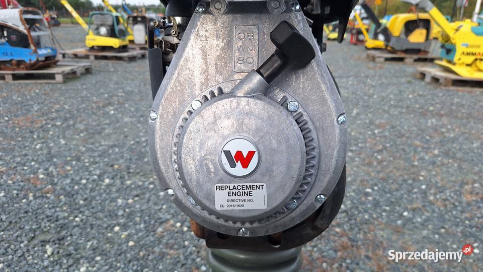 Skoczek Stopa WACKER NEUSON BS 502 plus 11in Trzebnica sprzedam