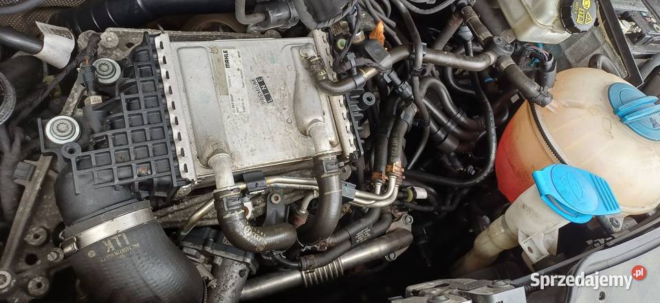 VW T6 20 4motion CXH 150 Uszkodzony tak Rabka-Zdrój