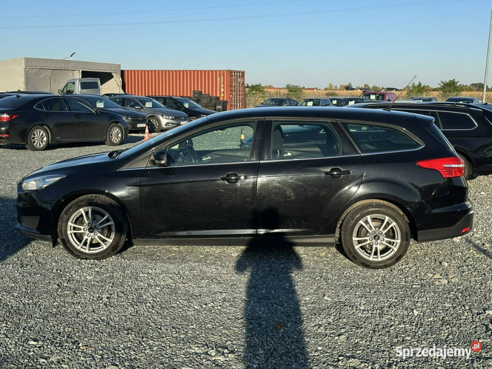 Ford Focus 16 TDCi 115 2015 Salon 154 Mk3 Wojkowice