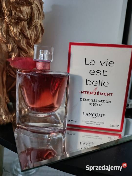 La vie Est Belle intensement Wrocław