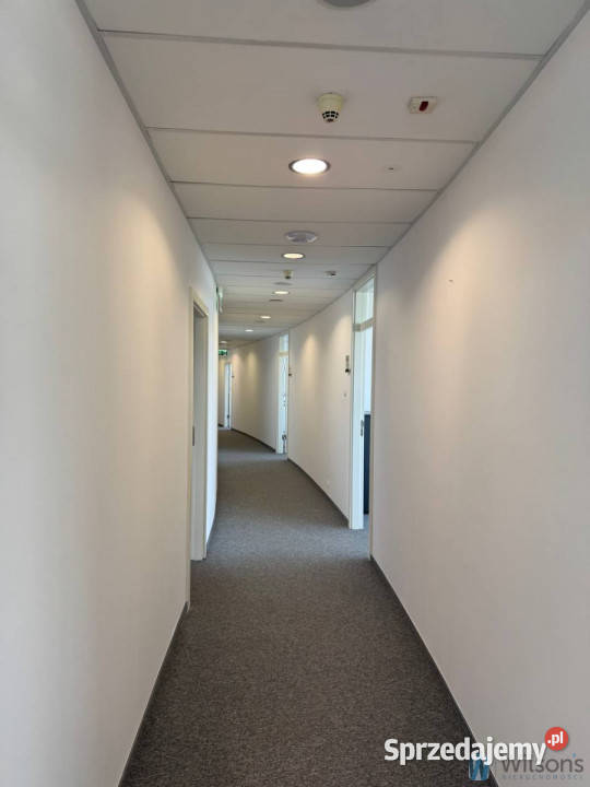 Lokal Warszawa Aleja Niepodległości 50m2 50m2 mazowieckie