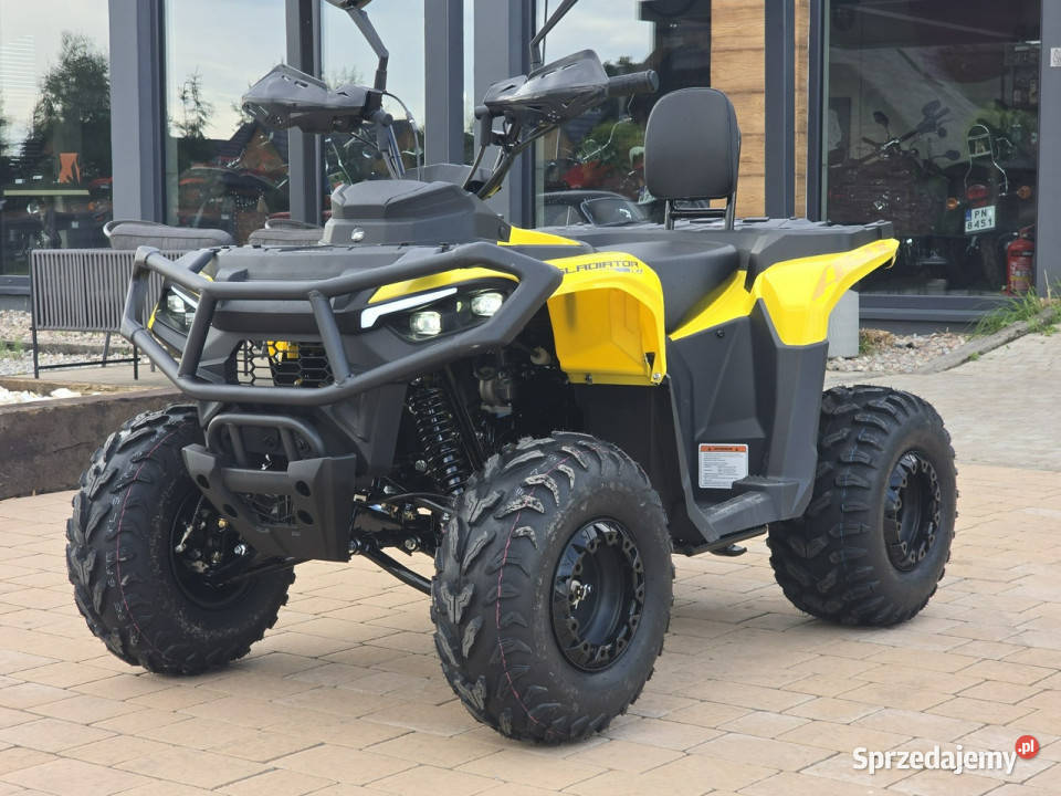 ASIX Inny Quad ASIX Gladiator 110 Transport Raty Bicz