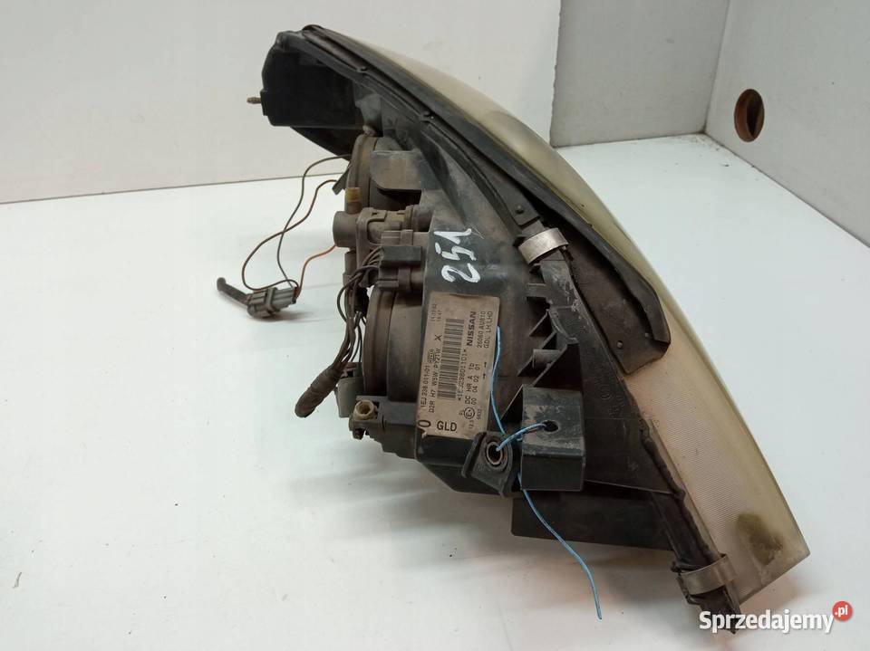 LAMPA PRZÓD LEWA XENON EU P12 1EJ23801101 Nissan świętokrzyskie