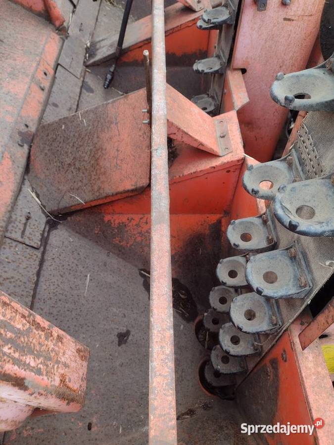 Sadzarka Hylleberg z podsiewaczem nawozu pomorskie Chojnice sprzedam