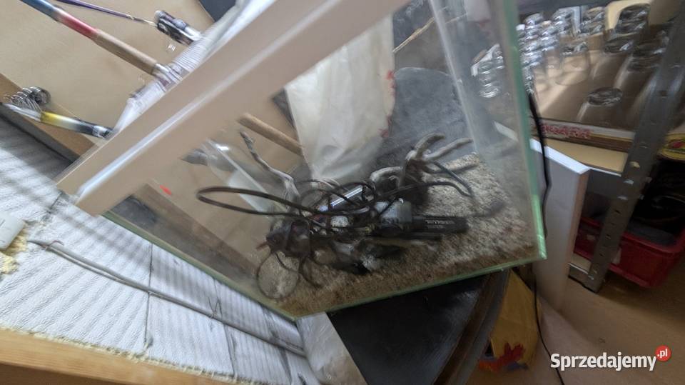 Akwarium Białystok sprzedam