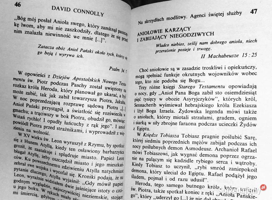 W poszukiwaniu aniołów David Connolly Pozostałe Chełm