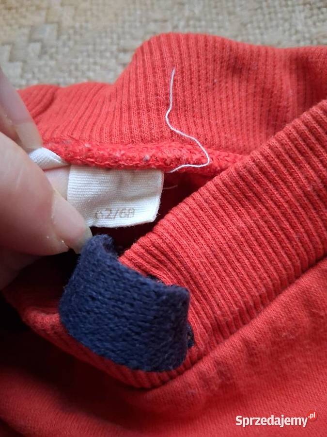 Ciuszki chłopięca chłopiec pomorskie