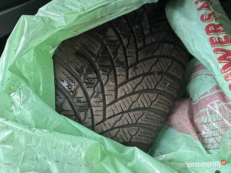 Ford Focus Polski salonfabrycznie bez ASR (kontrola trakcji) Wejherowo