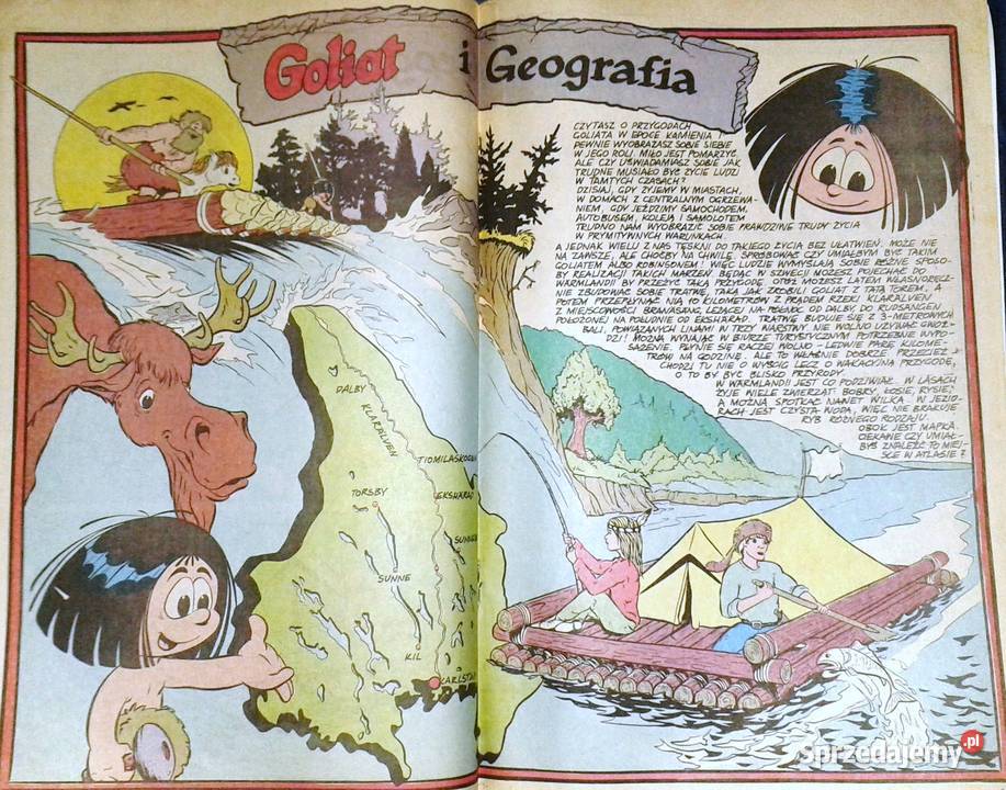 Goliat W krainie Krumeluntów Kamień kar 021991 Rok wydania 1991 Chełm