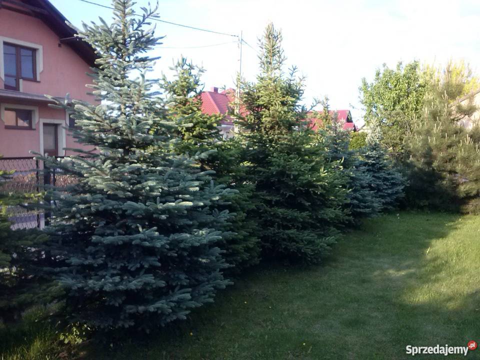 Dom Spytkowice kZatora do zamieszkania Zator sprzedam