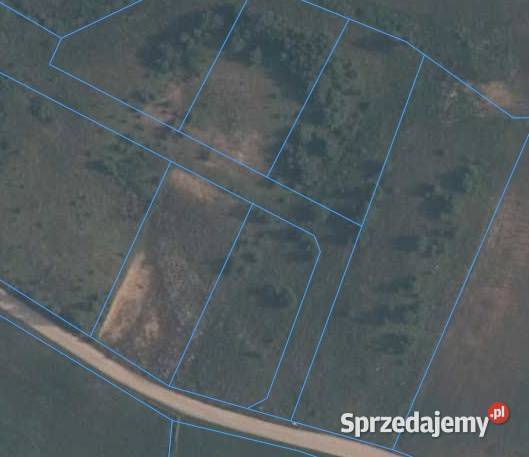 Gowidlino I pod budowę I spokojna okolica I w szambo Sprzedaż