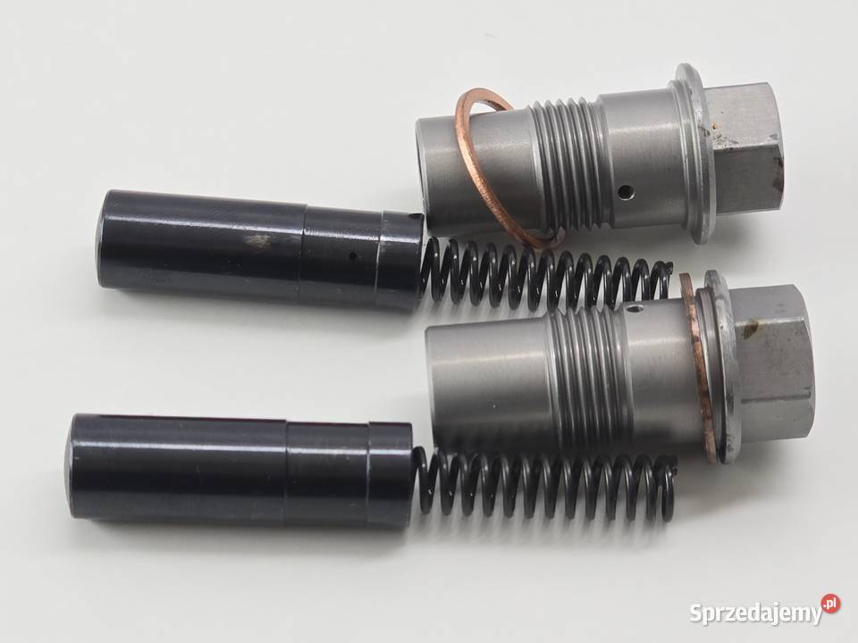 Napinacz Rozrzadu Napinacz Lancucha Bmw Gs 1200 Janowice