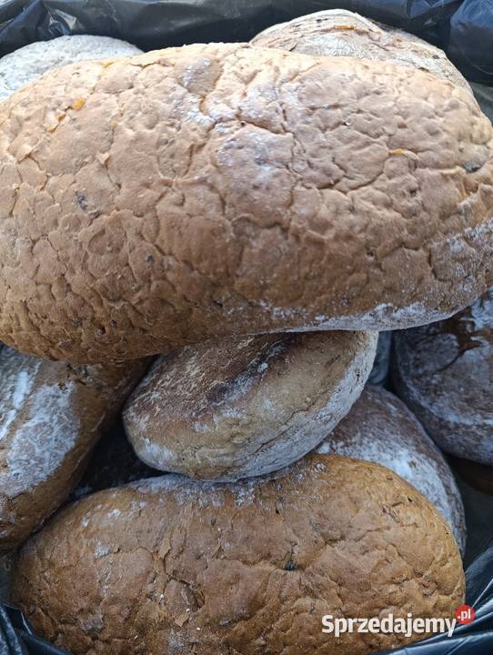 Sprzedam pieczywo ze zwrotów Pierzchnica