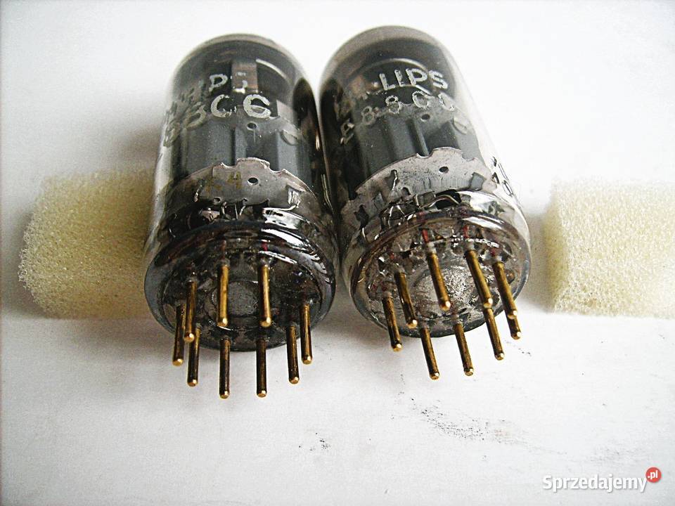 E88CC PHILIPS SQ GOLD PIN dobrana PARA z lat Porąbka