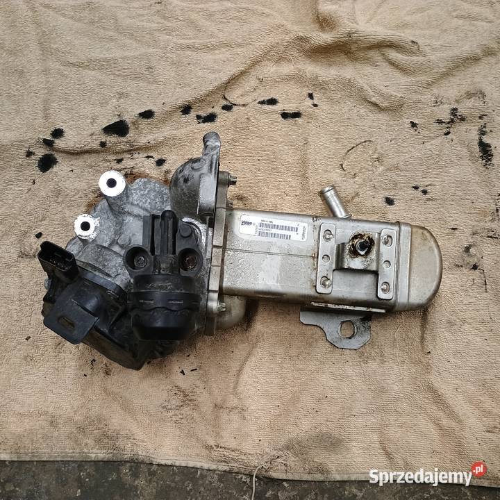 Ford Peugeot Citroen V29004027 EGR Chlodnica Bychawa