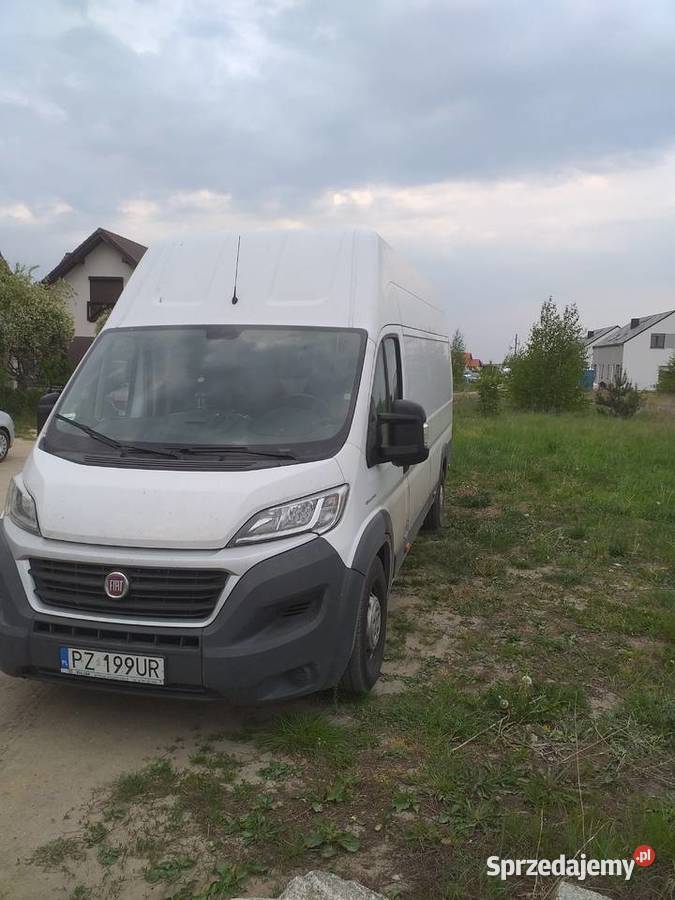 Oferuje usługi transportowe przeprowadzki wielkopolskie Kórnik