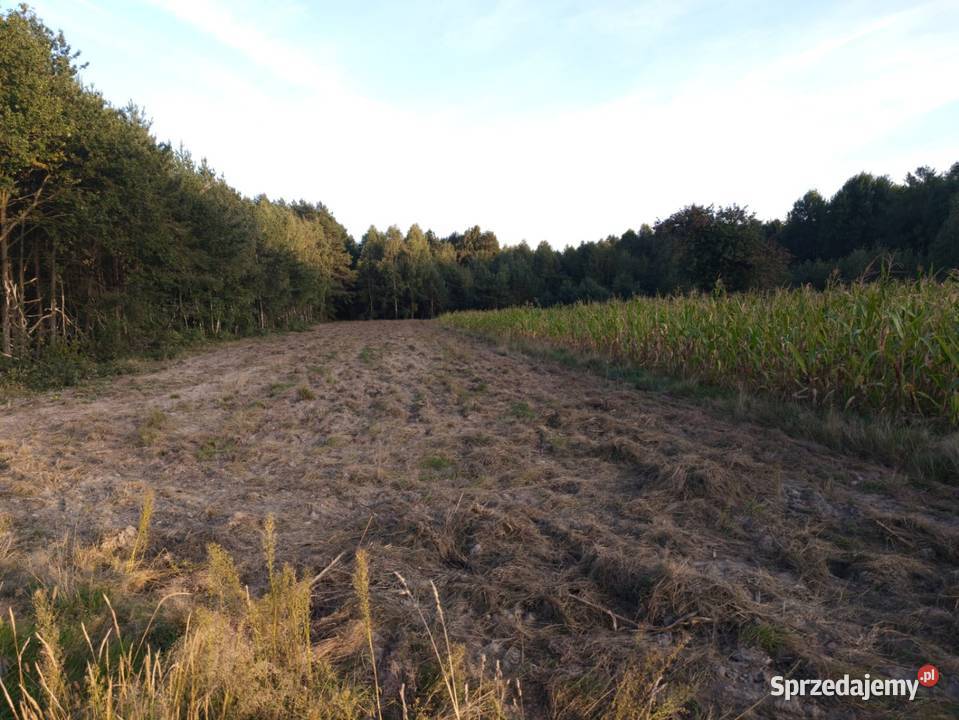 Działka rolna rekreacyjna budowlana 10zl metr łódzkie