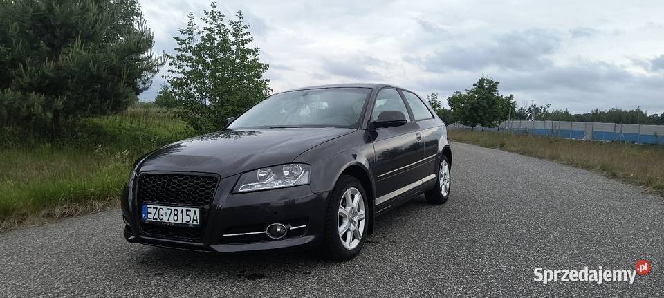 Audi a3 8p 19TDI 2008 FL 3D kupiony w Polsce Niesułków-Kolonia